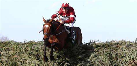 grand national betting william hill|Grand National Tips, Predictions & News .